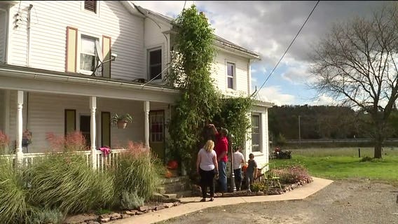 'I don't know why it got that big': Tomato plant towers over Pennsylvania home