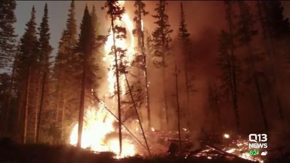 Lands commissioner seeks $55M for wildfires response and prevention