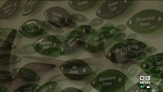"Tree of Life" unveiled in Seattle commemorating kidney donors