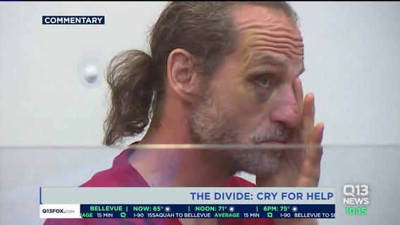 The Divide: Cry for Help
