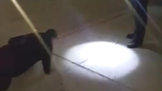 Officer allows teen caught with marijuana to do 200 push-ups instead of jail time