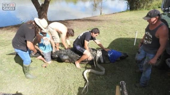 900-pound alligator captured in Texas needs a name