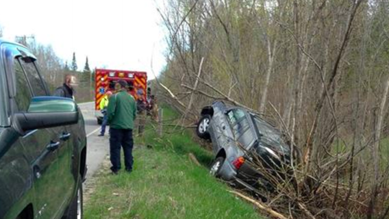 Spider blamed for causing rollover crash