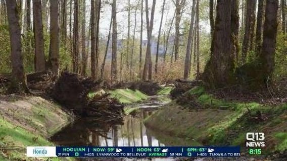 Bellingham wins national award for re-routing salmon back to Squalicum Creek