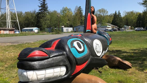 Lummi tribe begins cross-country campaign to free killer whale 'Tokitae'