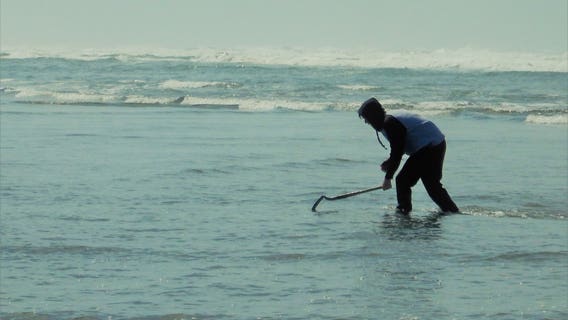 Oregon closes more coastal shellfish harvesting due to 'historic high levels' of toxins