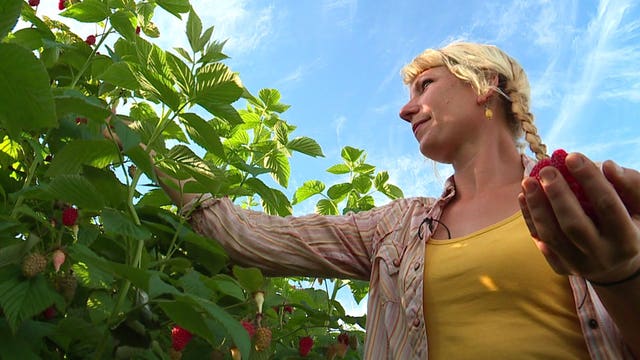 Bellingham Farmer's Market becomes a unique attraction