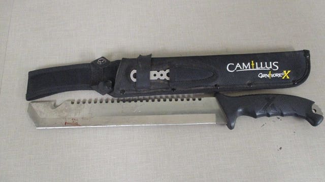 Man with machete arrested after fight over stolen cell phone