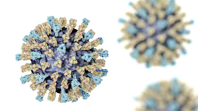 3 measles cases confirmed in family visiting western WA for holidays