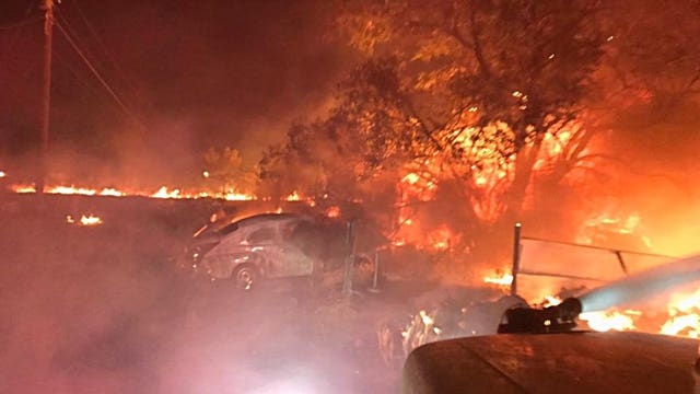 Firefighters say cat started brushfire in Eastern Washington