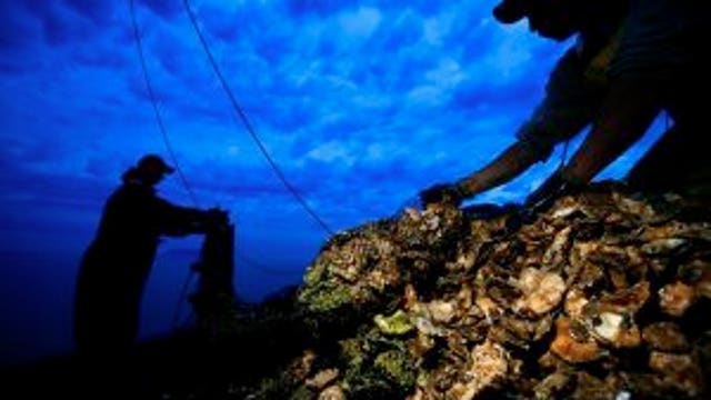 FDA warning on paralytic shellfish poisoning in PNW: Here what to know