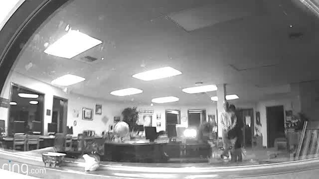 Woodinville school principal shocked by cougar encounter (VIDEO)