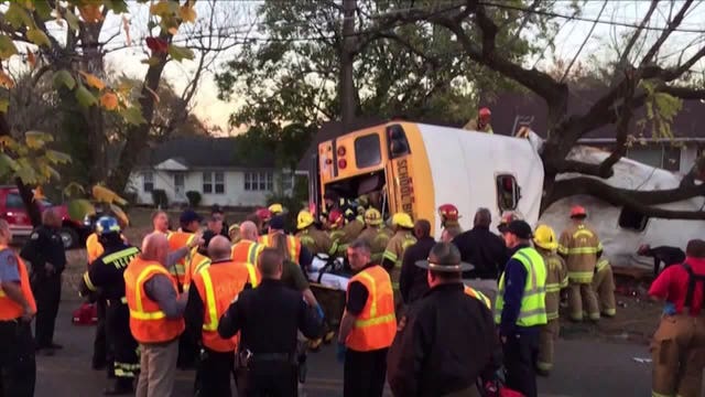 School bus seat belts could be coming to Washington