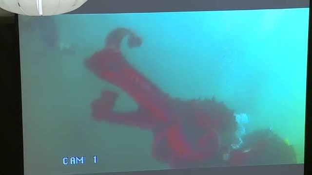 Aquarium returns Seattle octopus back to the Puget Sound