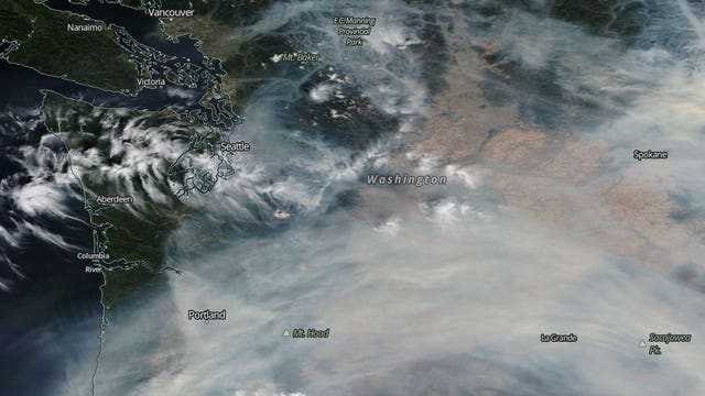 Wildfire smoke chokes US West: Ash covers Washington and Oregon cities