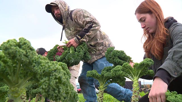 Whatcom County farm reintegrates veterans to civilian life through agriculture