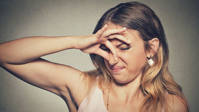 Mysterious, foul odor has city telling residents if they 'smell something, say something'