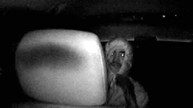 Photo of a suspect in Tacoma murder released