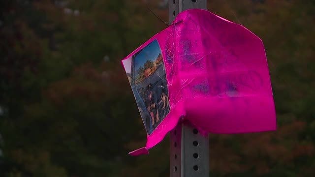 Couple finds skinned dog near Thurston County river: 'He had no ears, no tail, no paws'