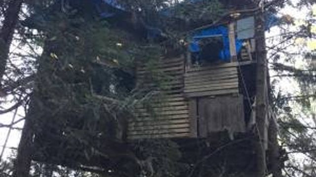 Housing, homelessness and addiction drive one Everett man up a tree