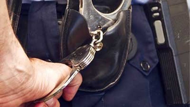 Tumwater man arrested on 13 counts of cruelty to dogs