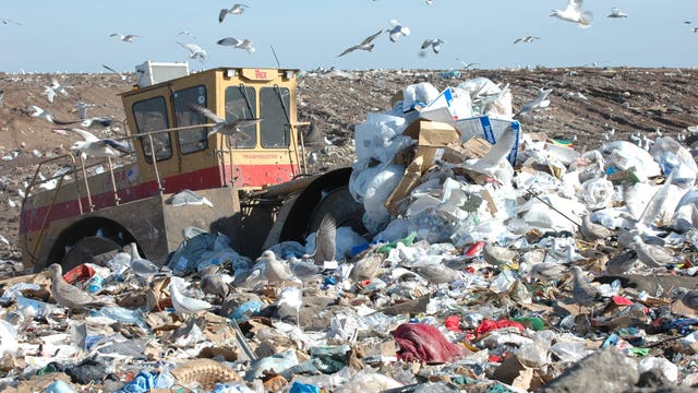 Recycling roadblock spurs King County re-education campaign. Are you 'Recycling Right?'