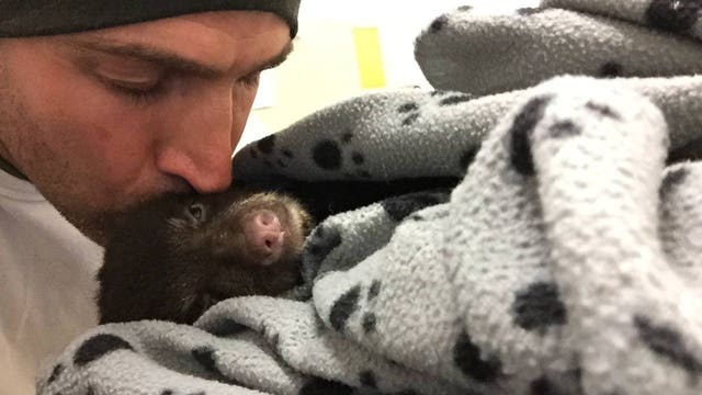 Hiker who picked up bear cub in Oregon woods defends his actions