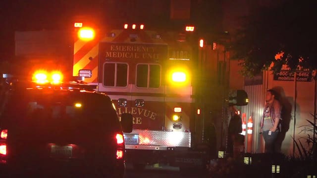 Two dead, one hurt after domestic disturbance, police say