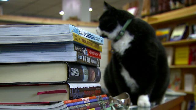 Tacoma book store booming during quarantine