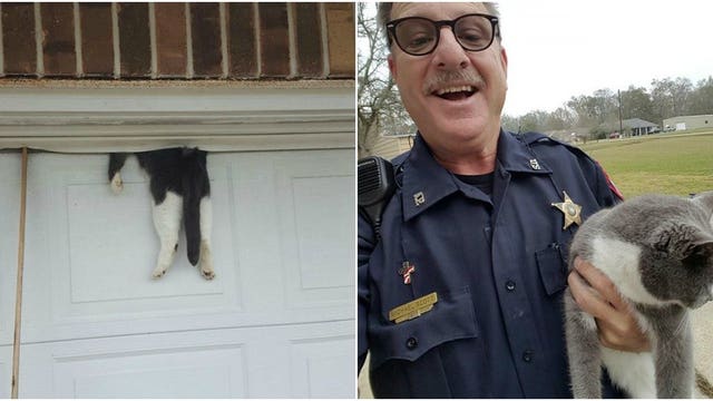 Louisiana deputy saves cat trapped in garage door