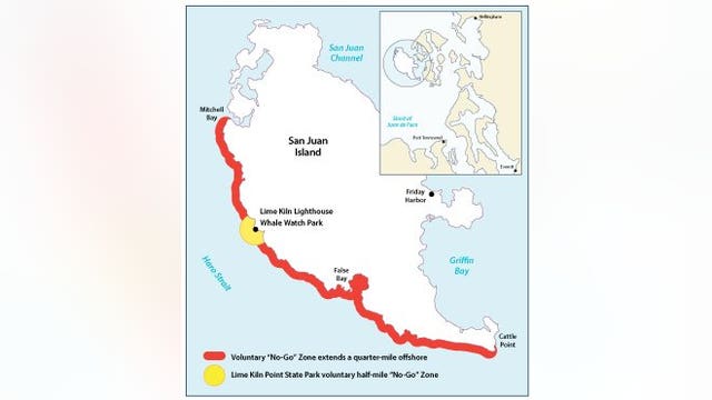 State places voluntary 'no-go' zone along western San Juan Island to protect orcas
