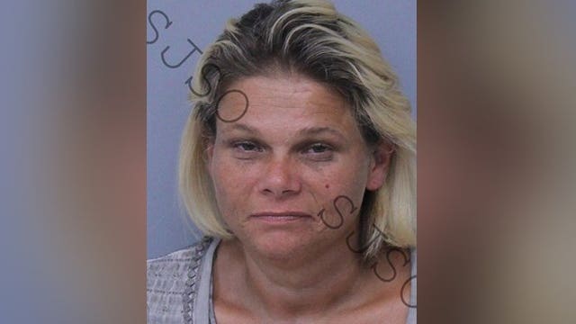 Florida woman named Crystal Methvin arrested for possession of crystal meth