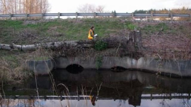 Inslee criticizes legislature over culvert funding