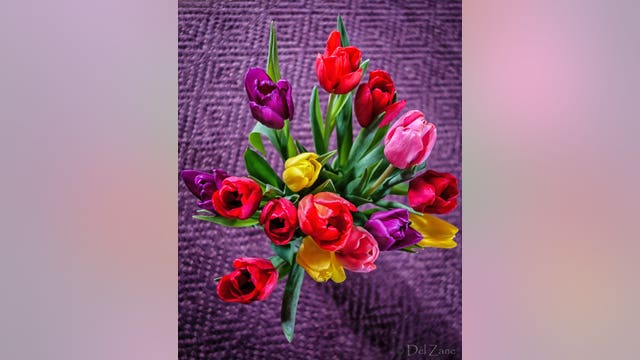 Lowe's delivering $1M worth of Mother's Day flowers to moms isolated in senior homes