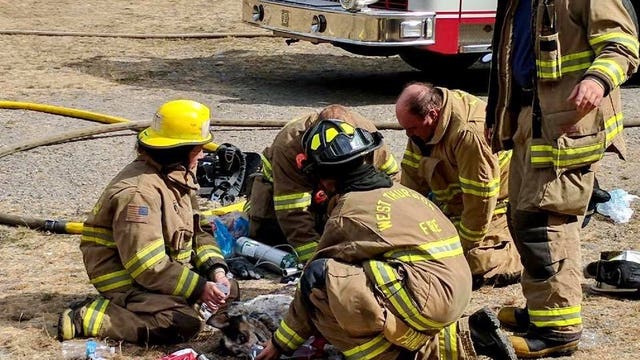 Firefighters rescue 2 dogs found unconscious in Thurston County house fire