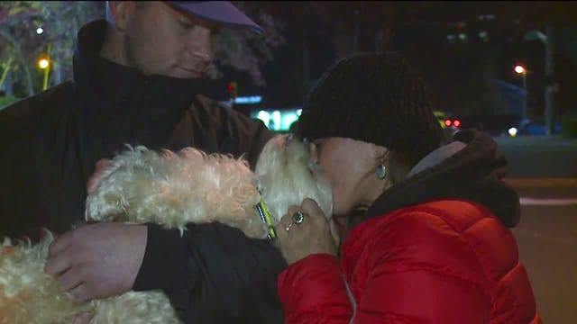 Everett dog reunited with his people, 4 months after he was stolen from car