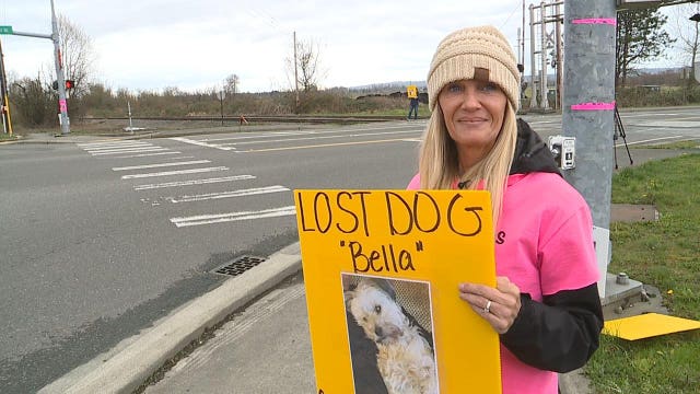 Changemaker: Kristi Everett and team of pet finders reunite lost dogs with owners