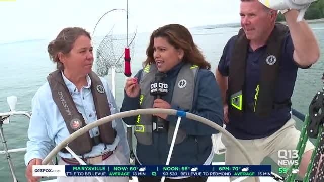 Locals encouraged to help stop the growth of 80,000-ton plastic island