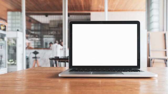 Official resigns after throwing cat during online meeting