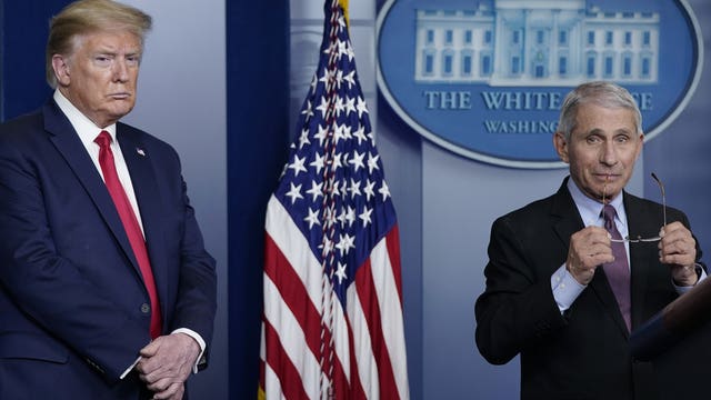 Fauci warns of ‘suffering and death’ if US reopens too soon