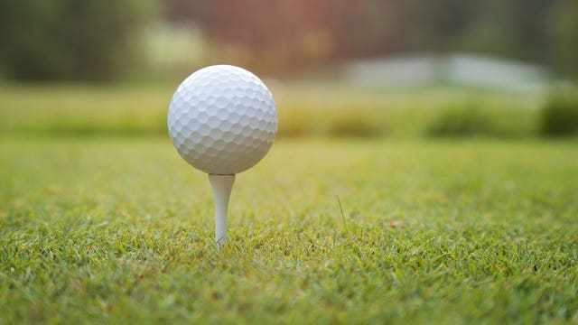 Court order can't stop stray golf balls from hitting home