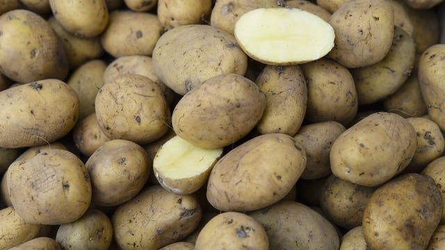 Giant potato giveaway comes to Tacoma Dome