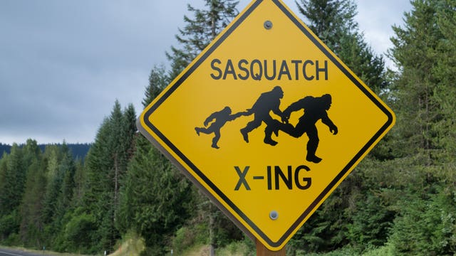Two Sasquatch-themed bills moving through Washington's legislature