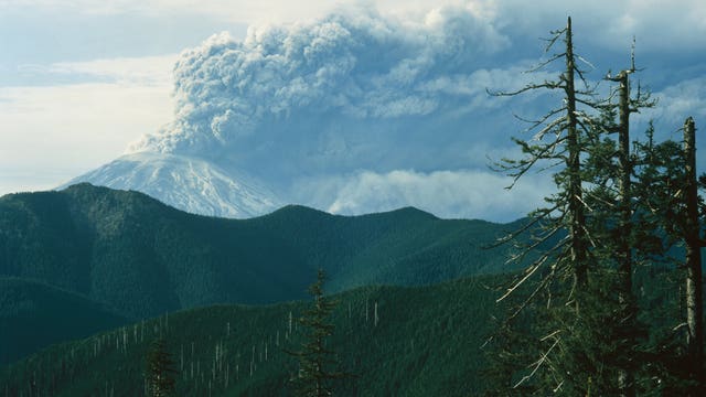 Virus interrupts St. Helens eruption anniversary plans