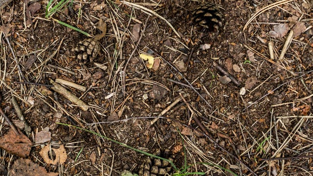 Warm dirt is making climate change worse, study finds