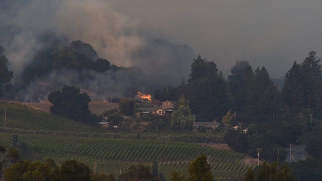 Smoke, extreme heat pose harsh test for West Coast vineyards