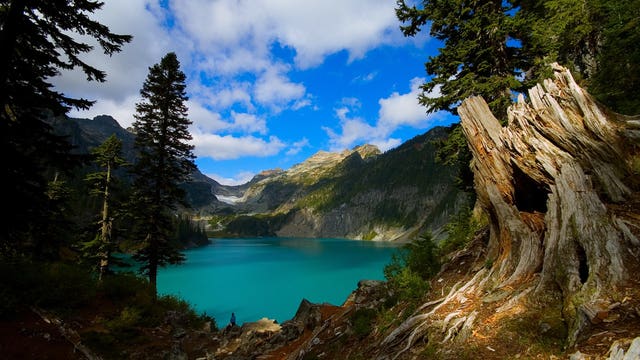 Lynnwood hiker found dead in the Cascades had drowned in accident, coroner says