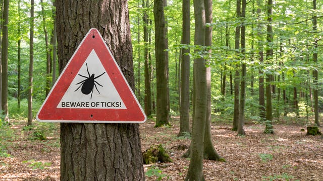 Officials: Central Oregon a hot spot for Colorado tick fever