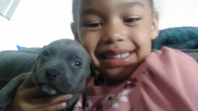 Bring Roxy home: Tacoma Police investigating after two men steal little girl's puppy