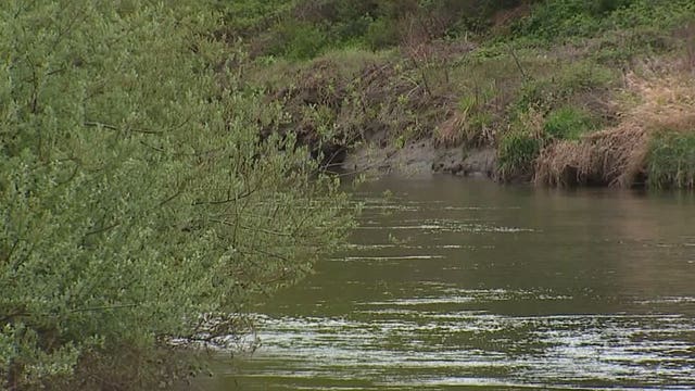 Puget Sound river ranked one of country's most endangered rivers